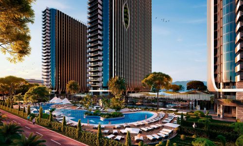 Alliance Renaissance